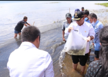 Bupati Toba Bersama Dinas Kelautan dan Perikanan Provinsi Sumatra Utara, Menabur 75 Ribu Bibit Ikan Nila di Danau Toba