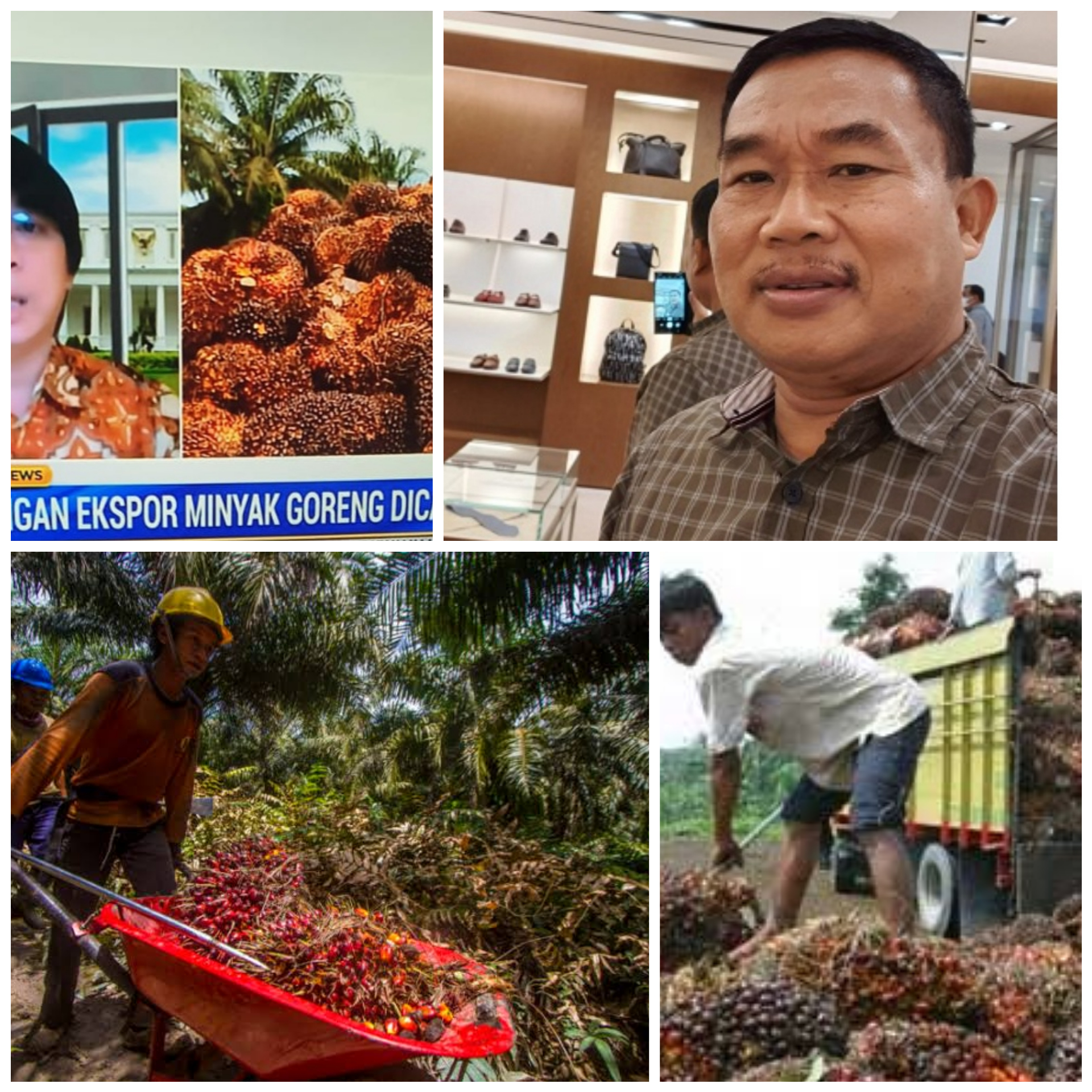 Jeritan Petani Sawit Didengar,  DPRD Sumut H Santoso SH, MH Apresiasi Presiden Jokowi Ekspor Migor Dan CPO Dibuka