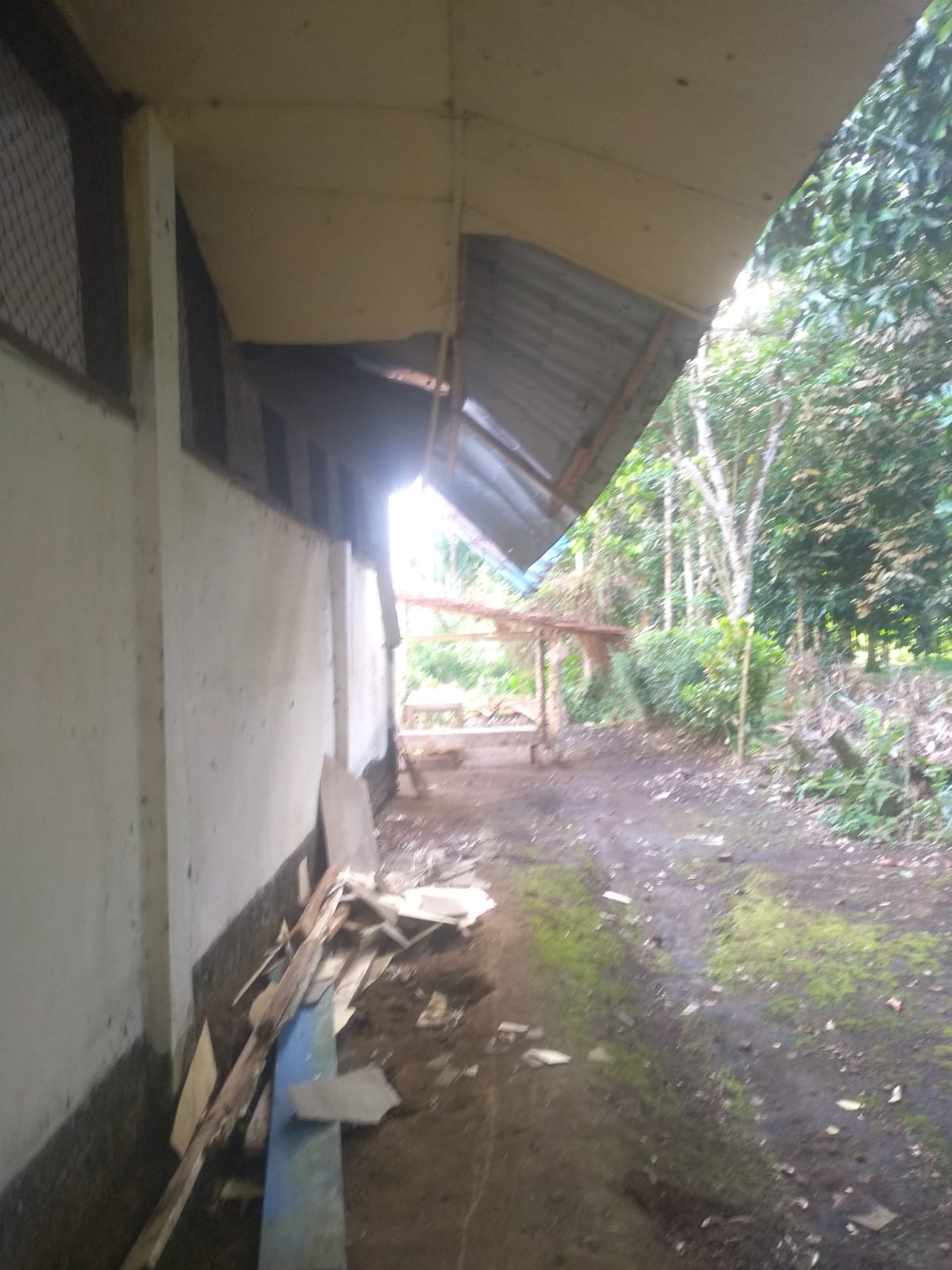 Kondisi SD Negeri 105310 Sayum  Gugung Memprihatinkan, Korcam Diduga Tak Perduli