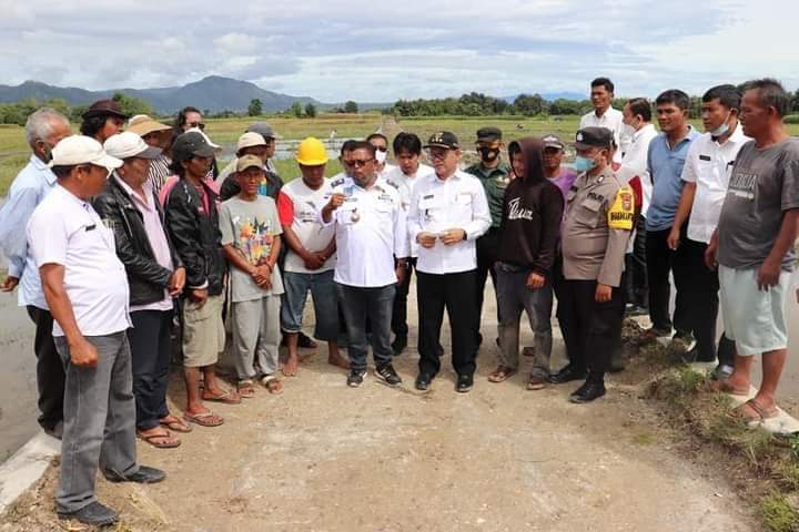 Bupati Toba Kunjungan Lapangan  Edukasi Pola Tanam Dua Kali Serentak