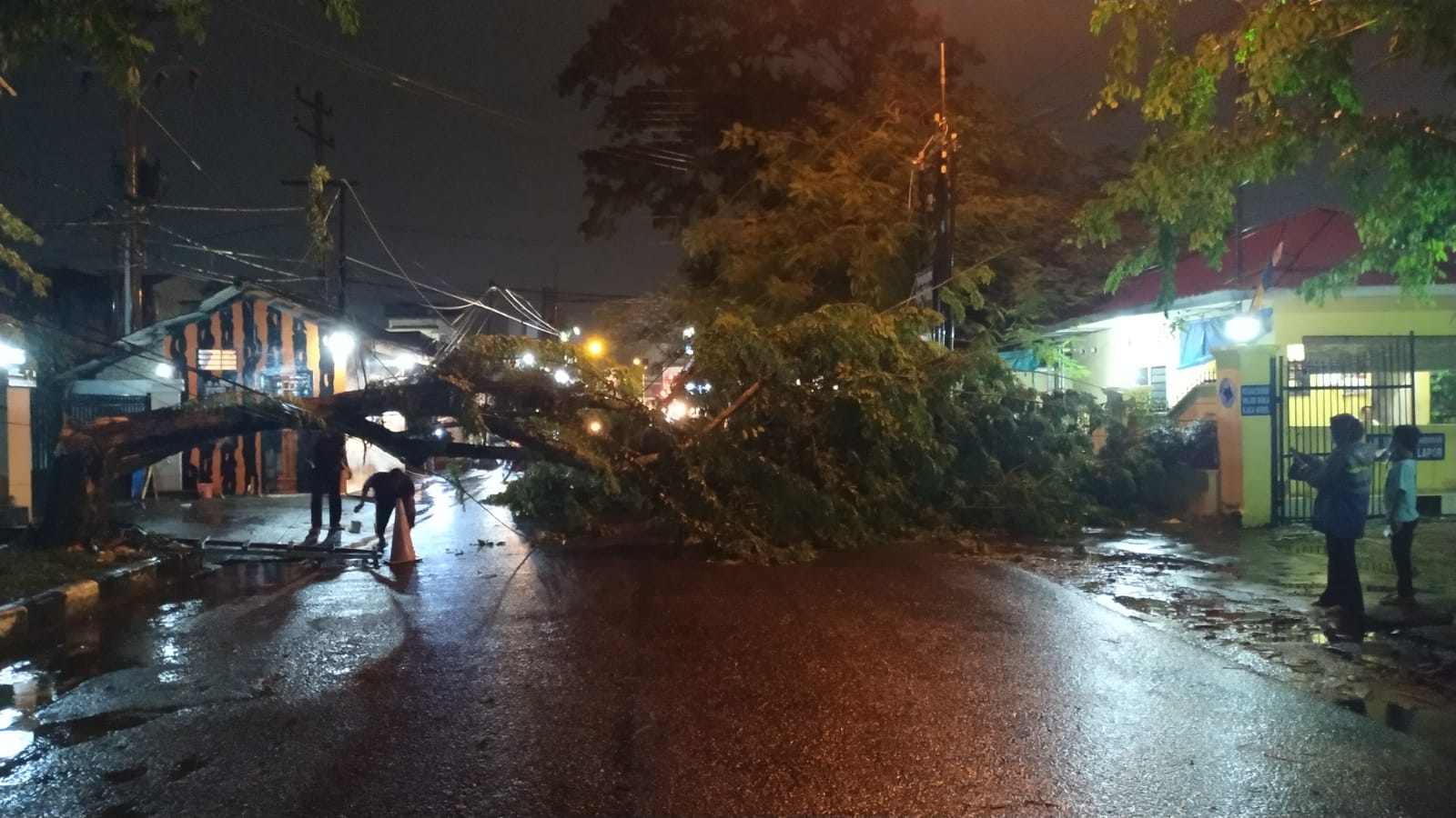 Hujan deras, pengemudi motor nyaris tertimpa pohon di Medan