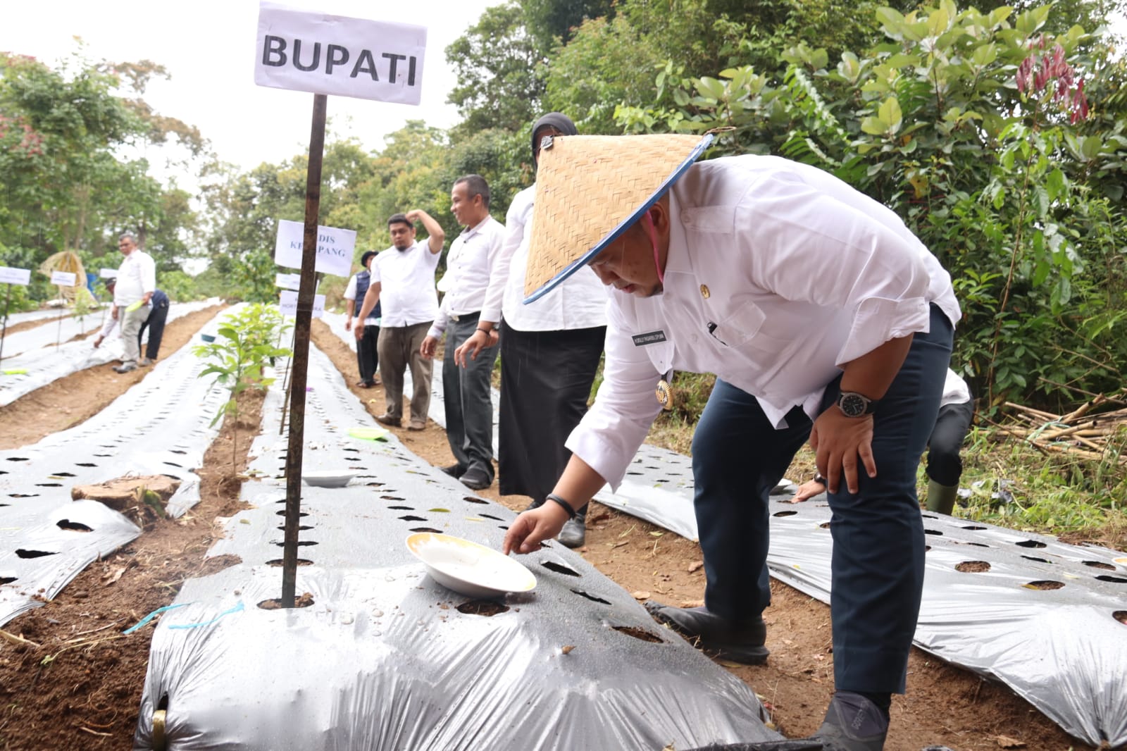 Bupati Kenalkan Konsep Pertanian Terintegrasi Untuk Meningkatkan Kesejahteraan Petani Tapsel