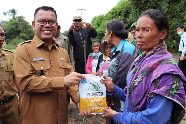 BUPATI POLTAK SITORUS TINJAU GOTONG ROYONG MASSAL DAN TABUR BENIH IKAN SEKALIGUS SERAHKAN BANTUAN BENIH JAGUNG DI PARMAKSIAN.