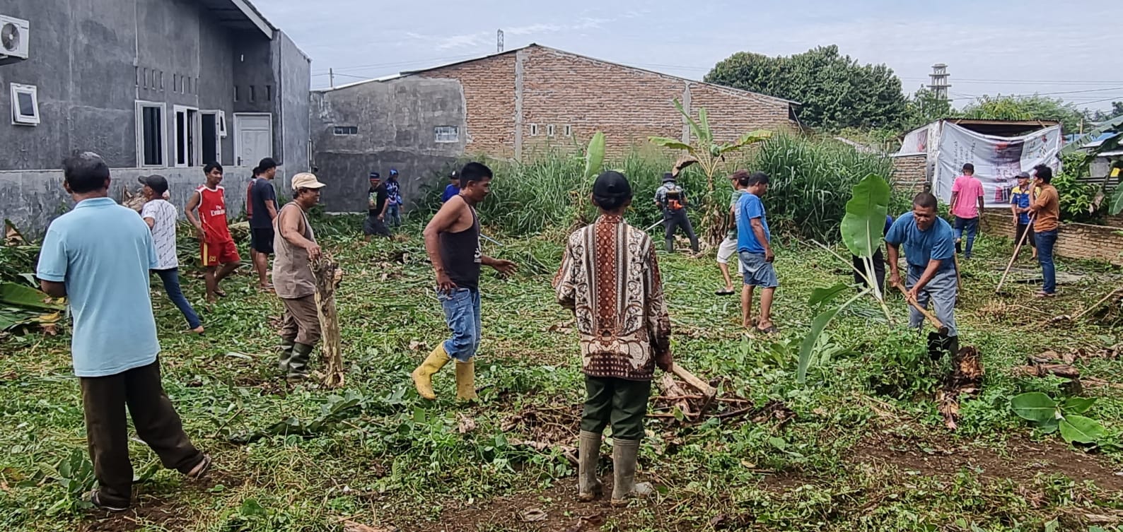 PAC PENDAWA KEC.PATUMBAK GELAR GOTONG ROYONG MASSAL