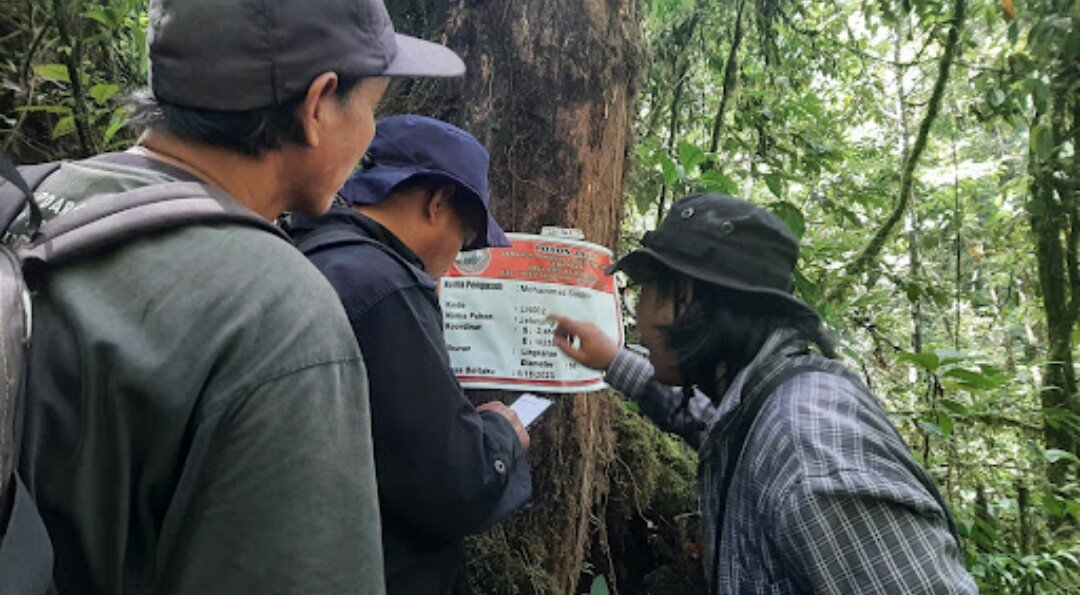 UNIQLO, HHI dan KKI Warsi Buat Proyek Konservasi Hutan di Bengkulu, Kurangi Emisi Karbon Hingga 400,000 Ton