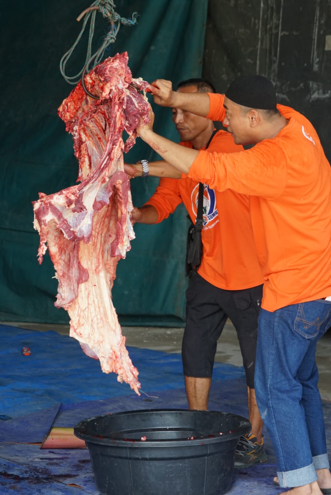 Rayakan Idul Adha 1443 Hijriyah,Bank Sumut Sembelih 11 Ekor Sapi dan 9 Ekor Kambing