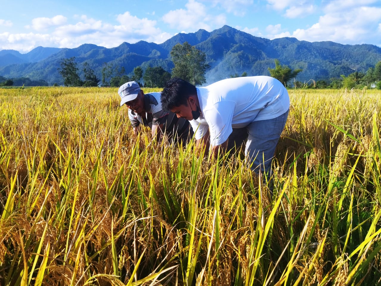 TPL Berkomitmen Meningkatkan Perekonomian Masyarakat Melalui Hasil Pertanian