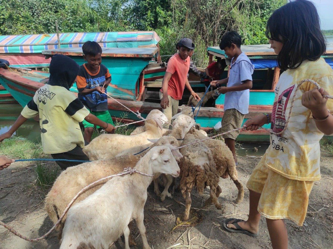 Arungi Sungai Hingga ke Muara, Dompet Dhuafa Distribusi Hewan Kurban ke Pelosok Sumut