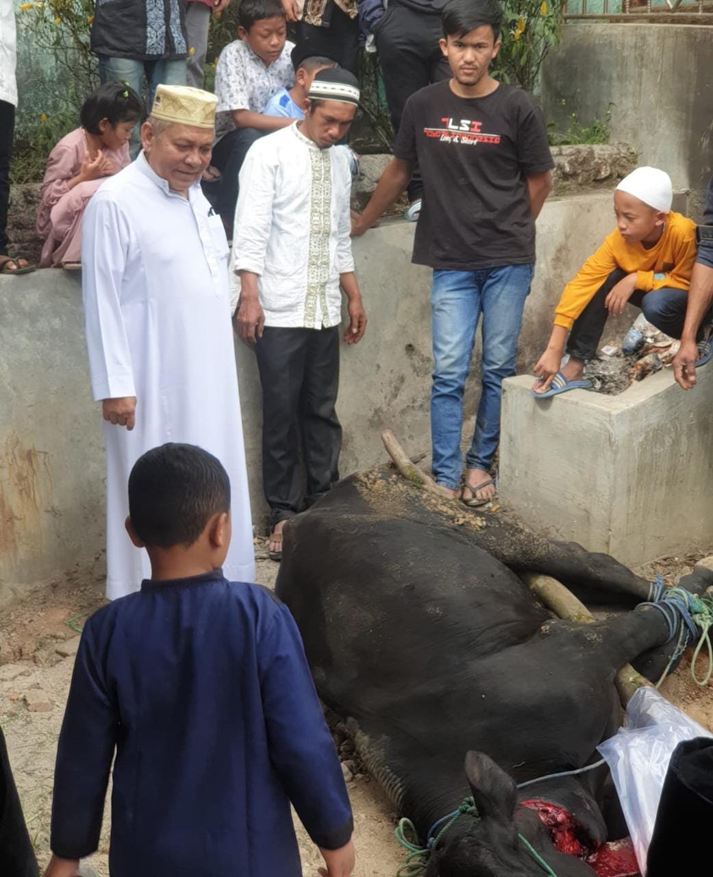 Idul Fitri 1443 H, Baitul Muslimin Indonesia (Bamusi) Sumut Bagikan daging kurban