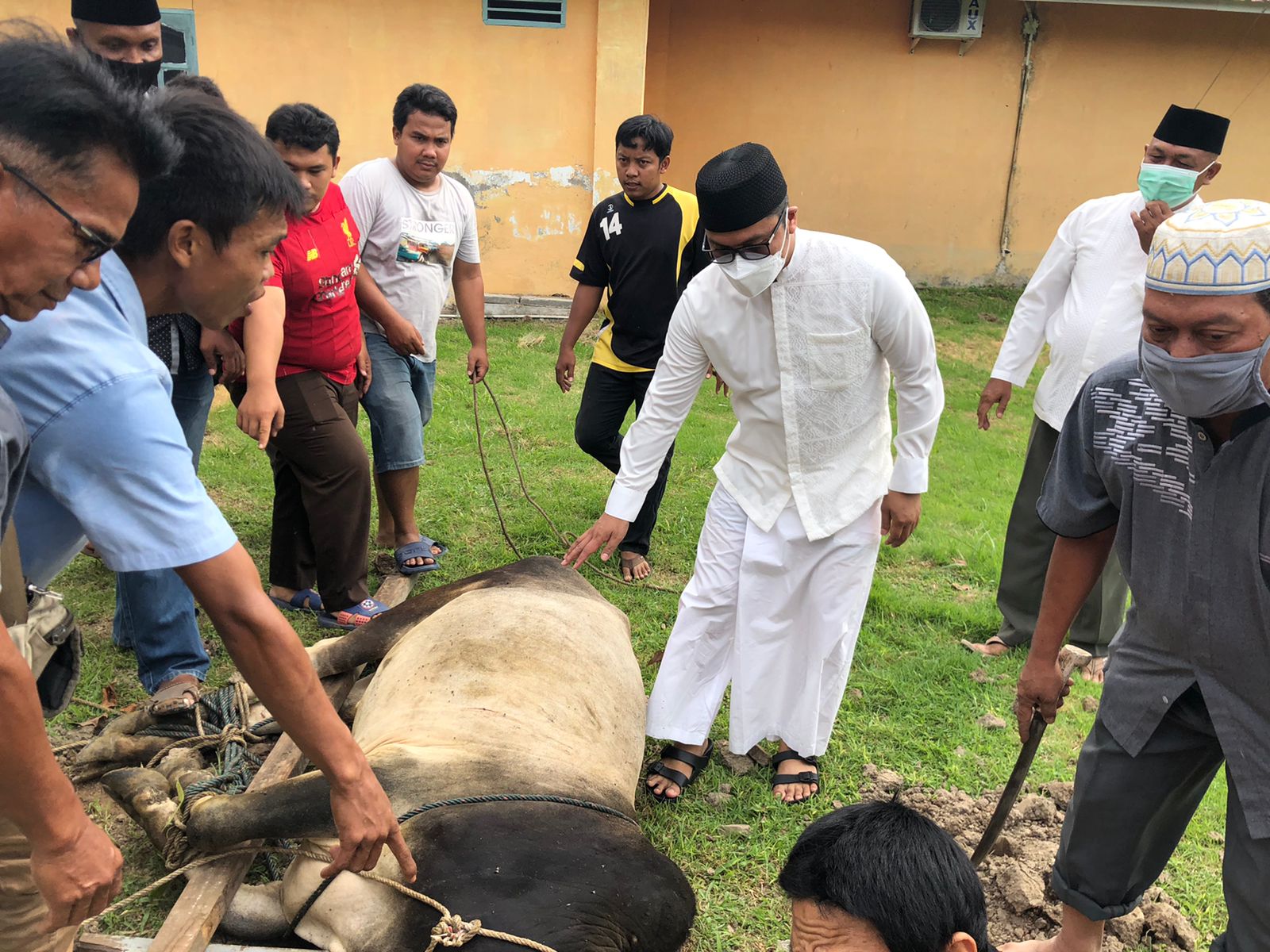 PT. SPMN dan RSU Sri Pamela T.Tinggi Rayakan Idul Adha Qurban 2 Sapi Tahun 2022