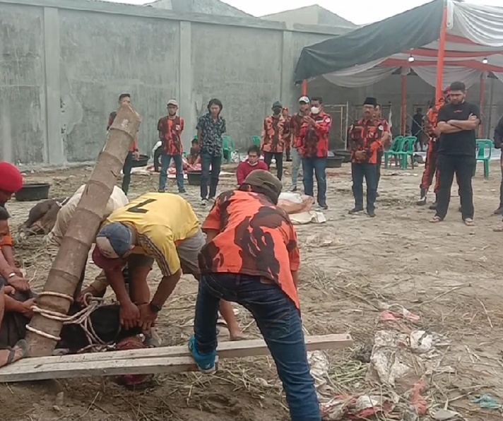 Ketua MPC PP Kota Medan Saksikan Penyembelihan 9 Ekor Hewan Qurban