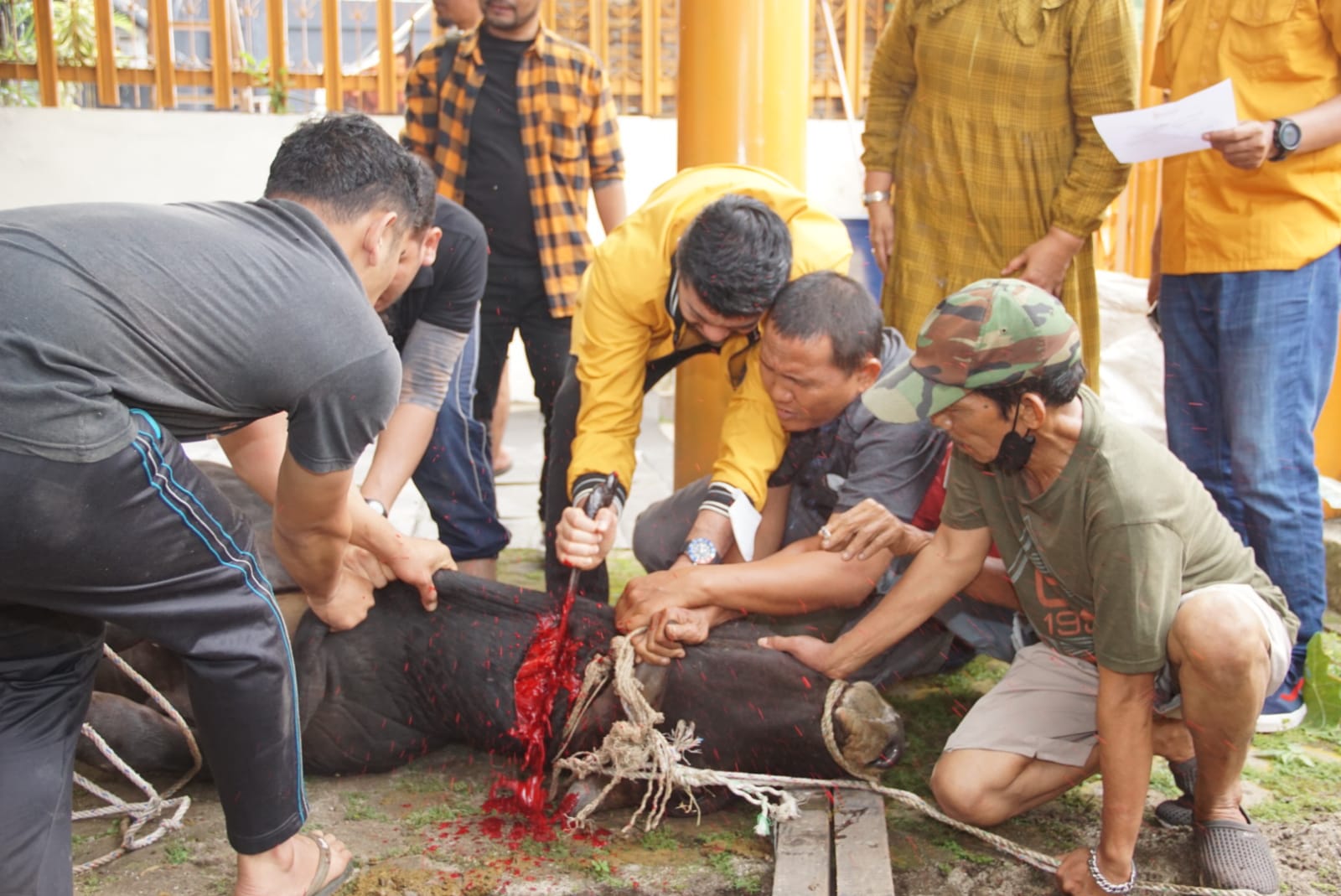 DPP HANURA Sembelih 3 Ekor Hewan Qurban