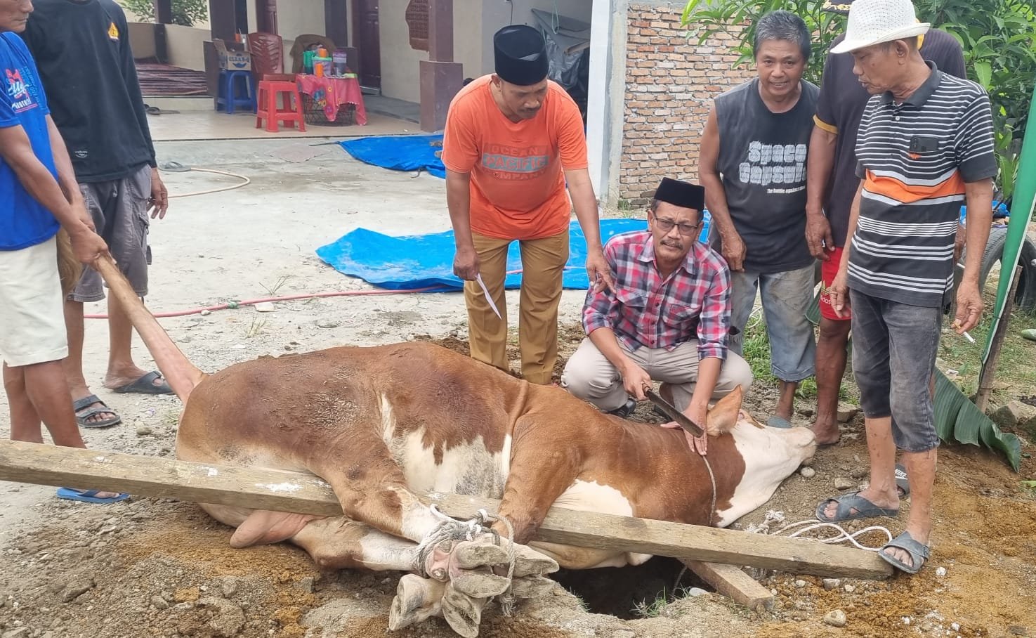IDUL ADHA 1443 H, PENDAWA BAGIKAN DAGING QURBAN KEPADA 200 WARGA MASYARAKAT