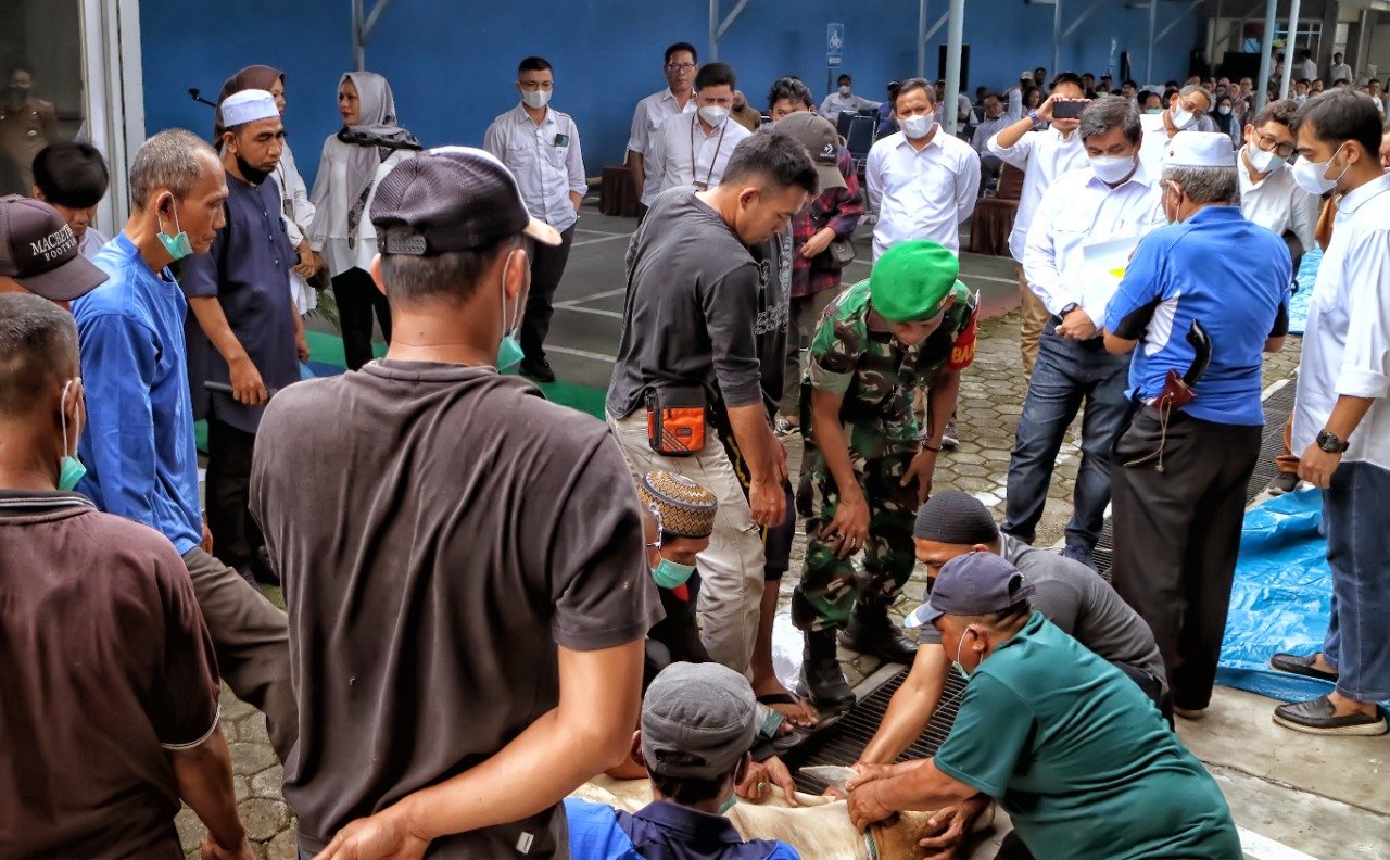 PLN UIP Sumbagut Sembelih 3 Ekor Sapi dan 5 Kambing