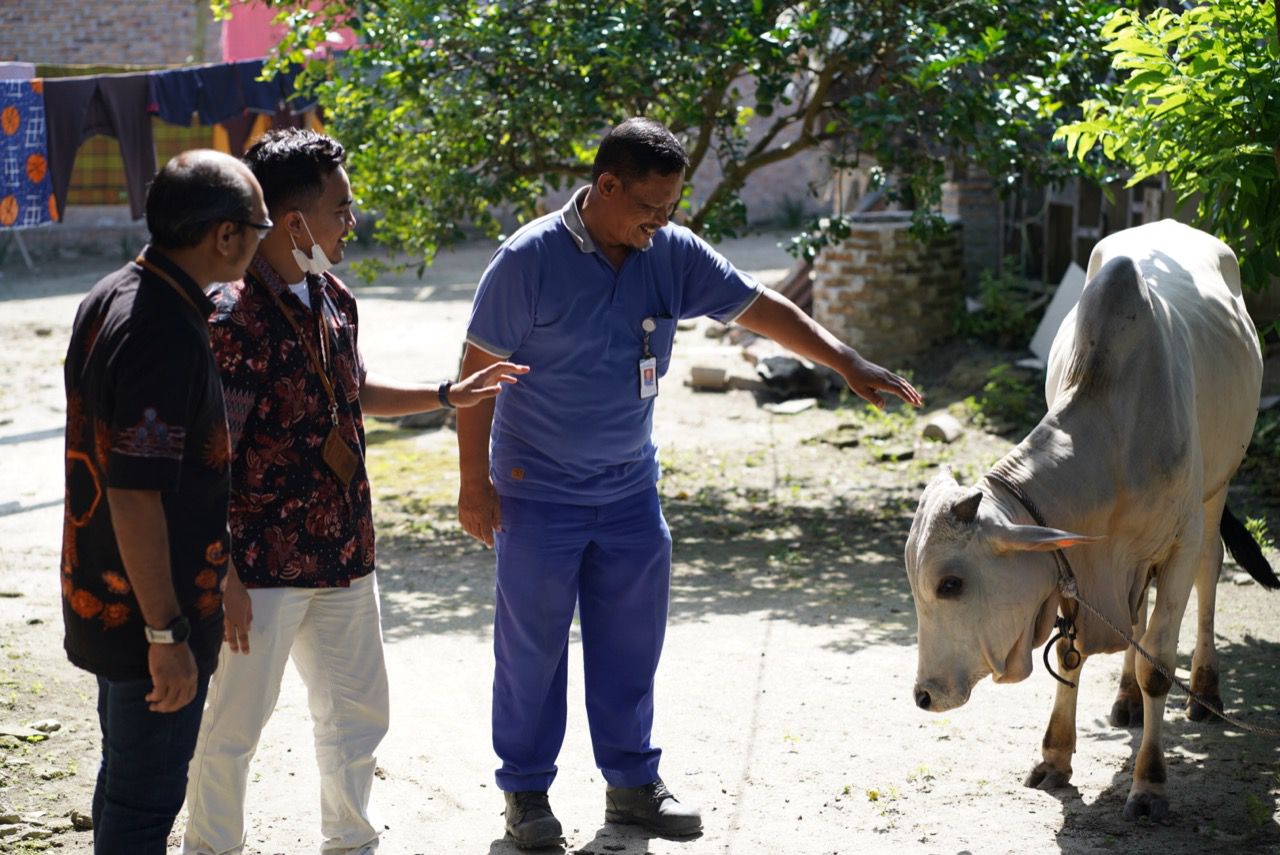 Inalum Bagikan Qurban di Batubara, Asahan dan Toba