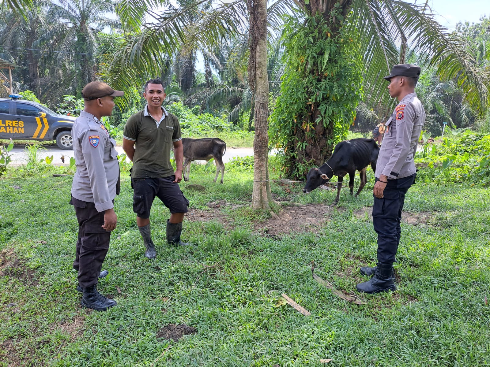 Bhabinkamtimas Polsek Bandar Pulau Polres Asahan Bersama Bintara Noken Penyuluhan dan Pengecekan Hewan Ternak Warga