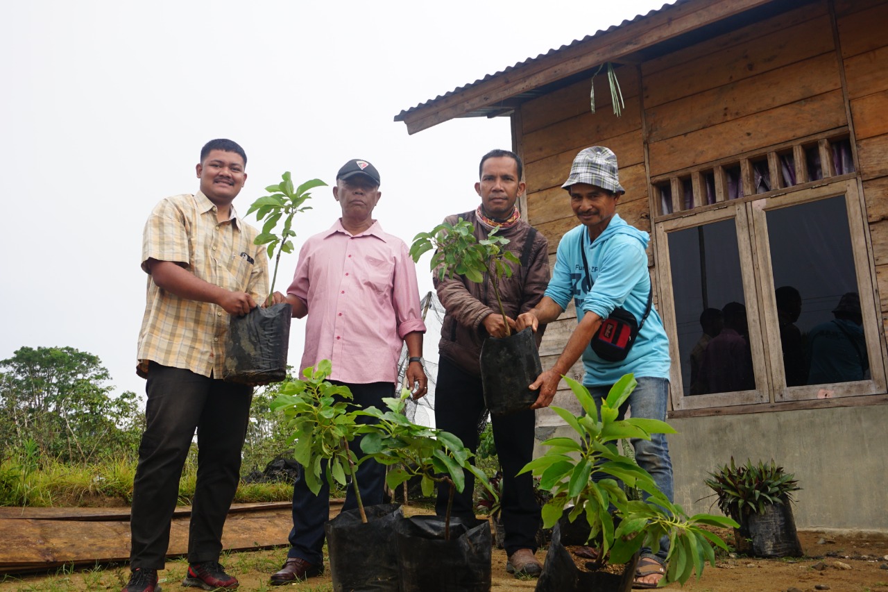 TPL Salurkan Bibit Alpukat Kepada Kelompok Tani Hutan Kecamatan Habinsaran