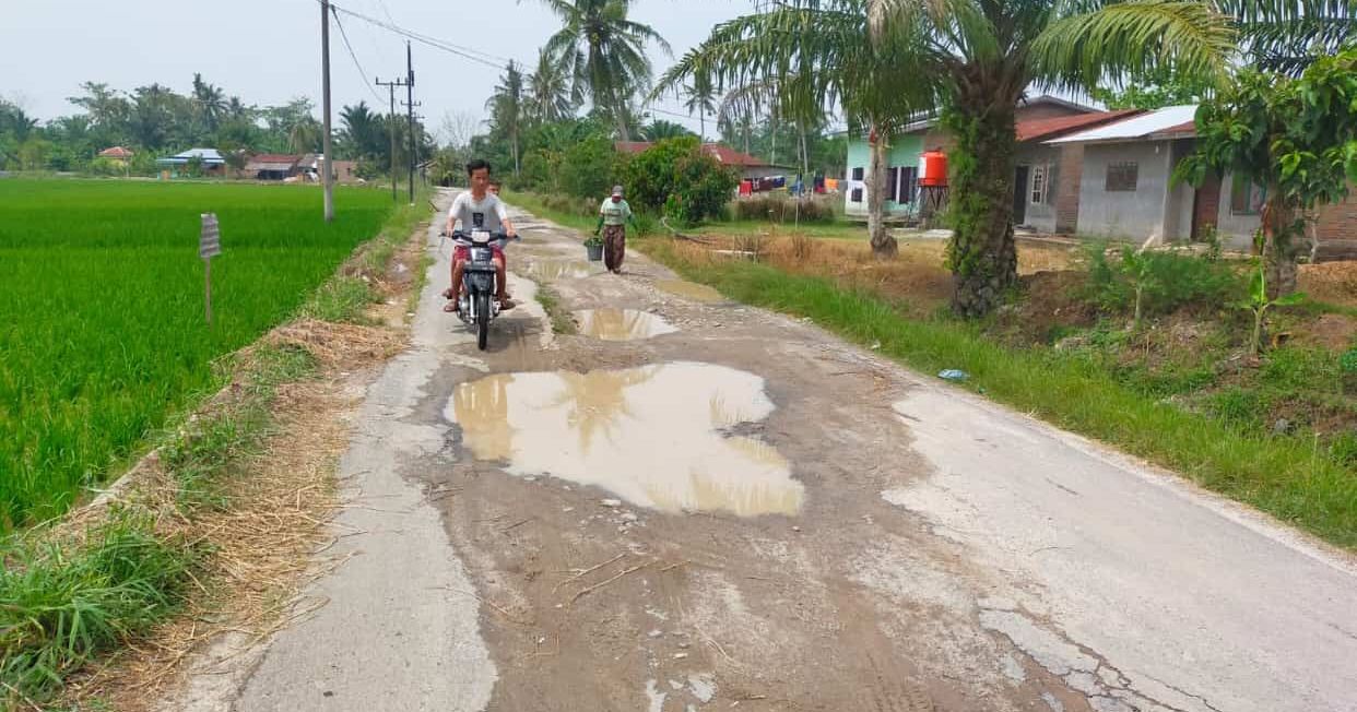 Masyarakat Petani Sei Rejo Keluhkan Badan Jalan Bagaikan â€œKolam Ikanâ€