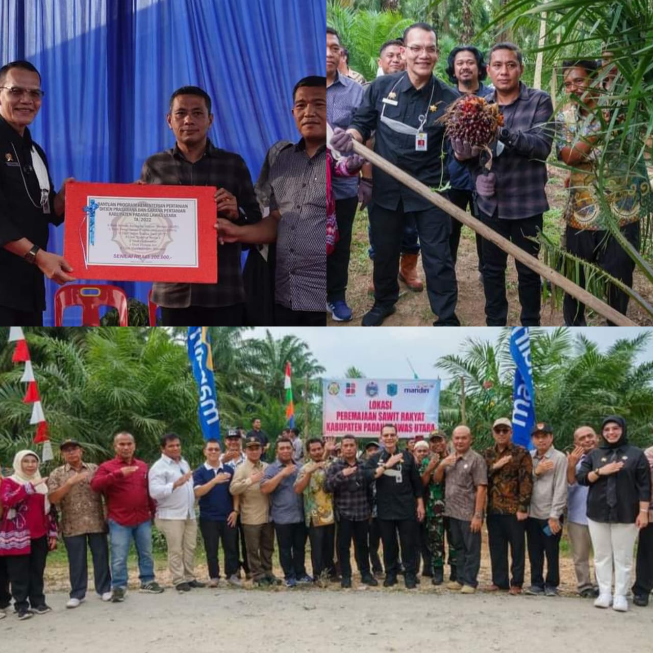 Bupati Paluta Menerima Bantuan Dari Kementerian Pertanian RI Untuk Kelompok Tani