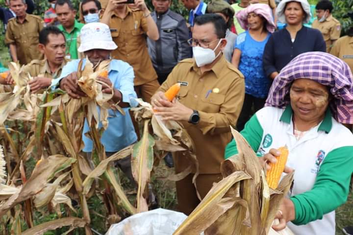 Bupati Toba: Untuk Makmur Petani Harus Tanam Dua Kali,Panen Dua Kali