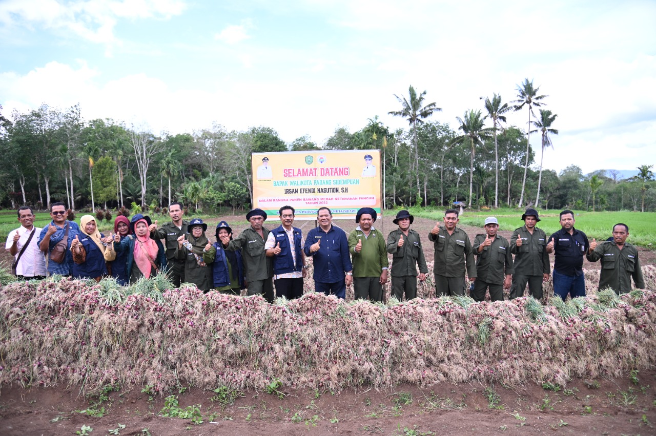 Walikota Irsan Efendi Nasution Hadiri Panen Bawang Merah di Huta PadangÂ 