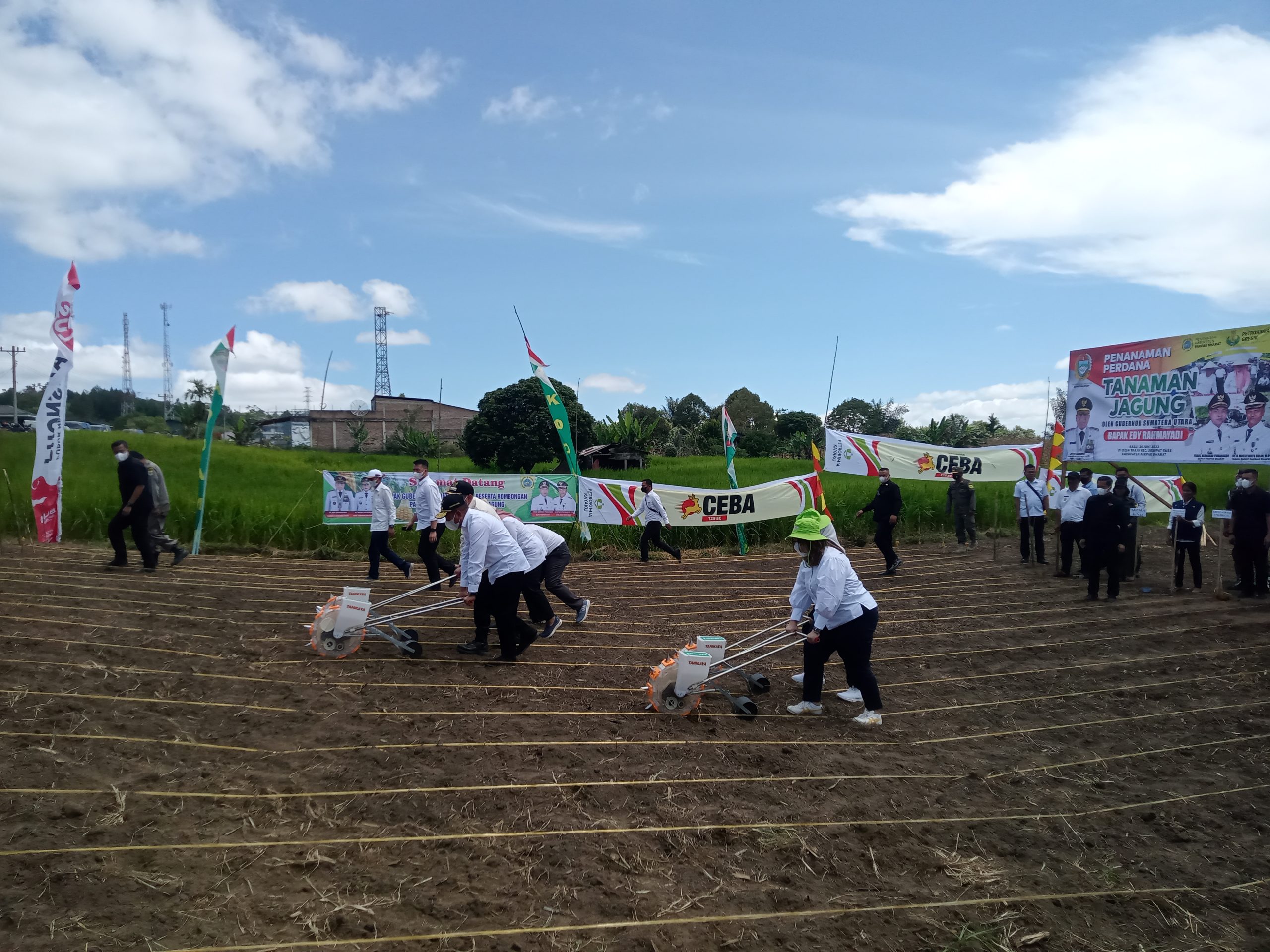 Gubernur Sumut Edy Rahmayadi Tanam Jagung di Pakpak Bharat