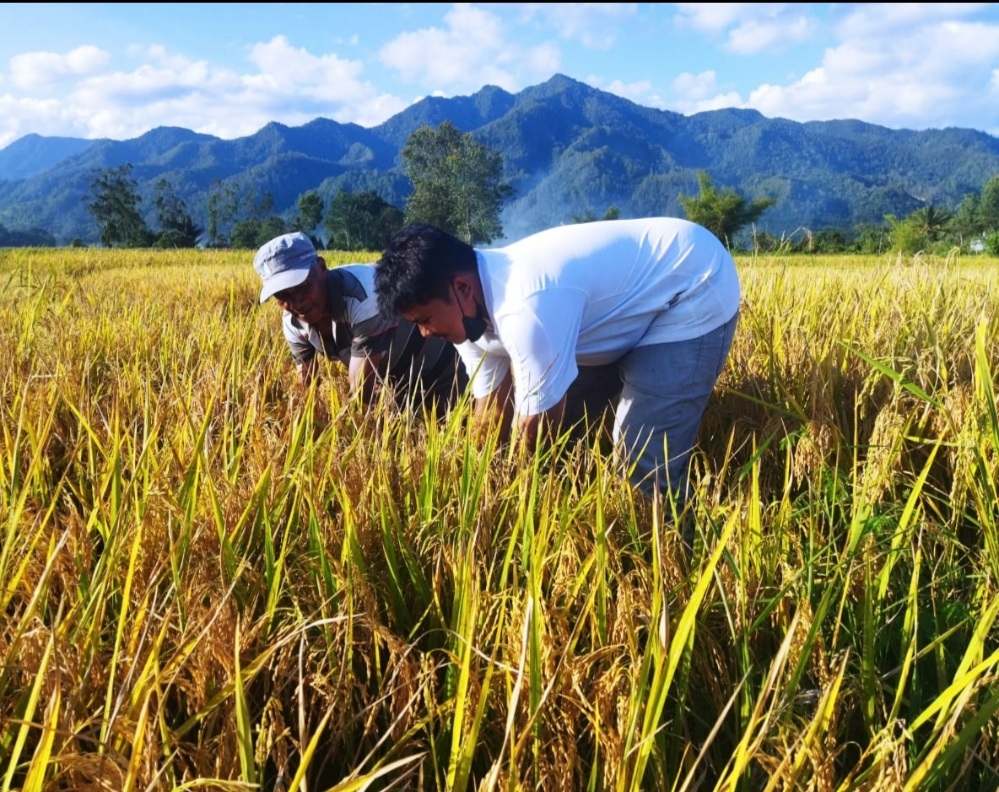 TPL Berkomitmen Meningkatkan Perekonomian Masyarakat Melalui Hasil Pertanian