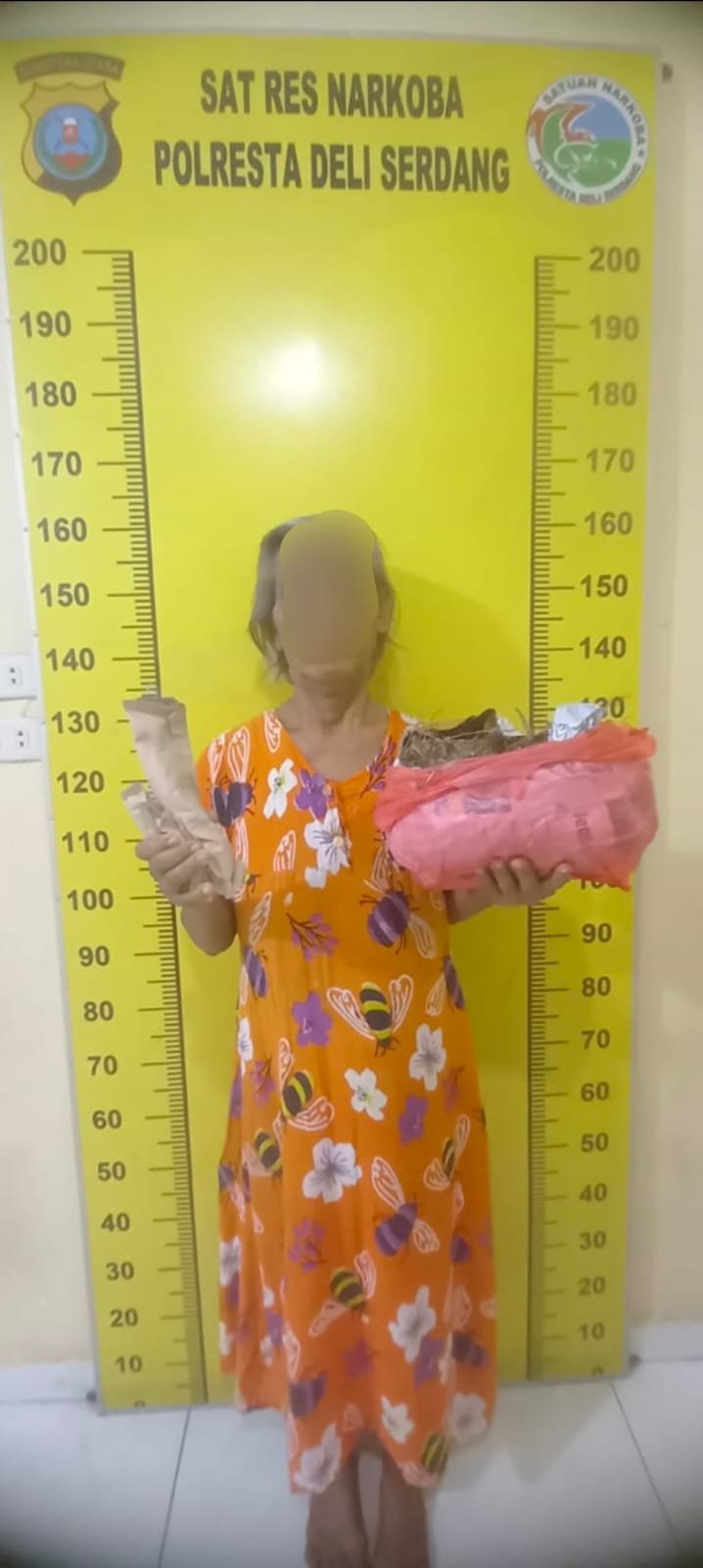 Polresta Deli Serdang Berhasil Amankan Seorang Ibu Yang Memiliki Ganja