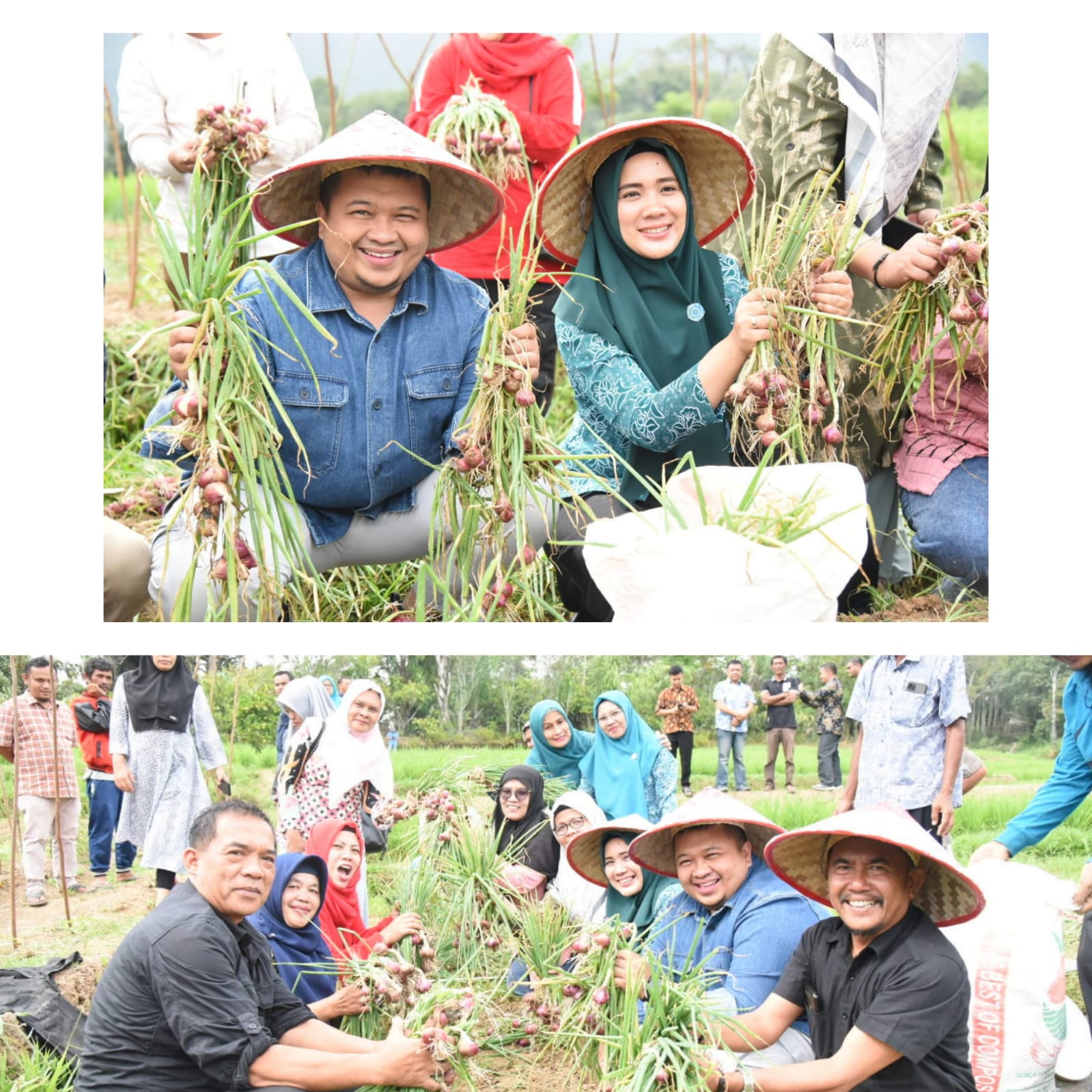 Bupati Tapsel Ajak Warga Manfaatkan Lahan Maksimal Untuk Ditanami Berbagai Tanaman Obat Keluarga