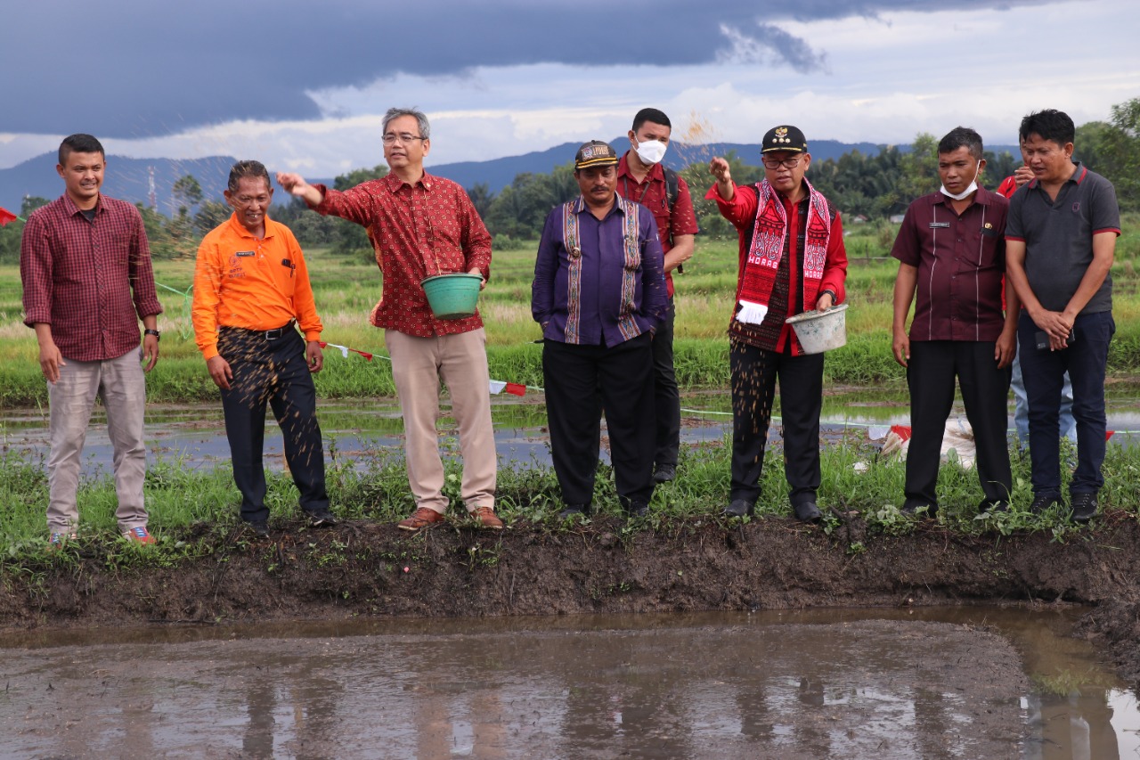Anggota DPR RI Sihar Sitorus Menyerahkan Bantuan Benih Padi dan Beras Kepada Warga Desa Simpang Siguragura