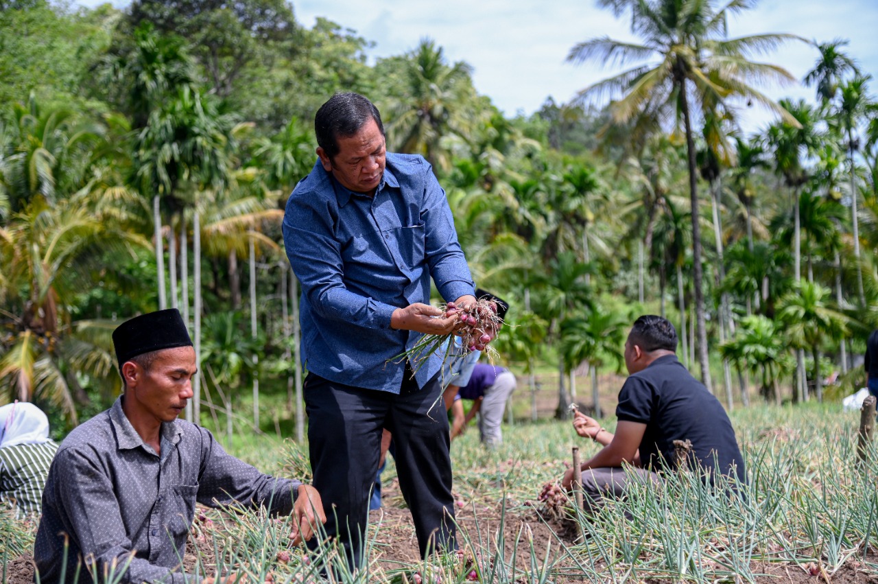 Kota Padang Sidempuan mengalami deflasi atau penurunan harga sebesar 0,31 persen