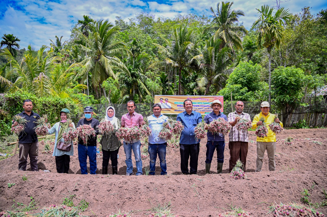 Dukung ketahanan pangan nasional, Wali Kota Padang Sidempuan Irsan Efendi Nasuion Panen Bawang Merah