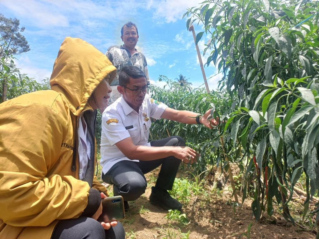 Stabilkan Harga Pangan Pokok, Wali Kota Kirim Jajaran PUD Pasar Medan ke Lima Kabupaten