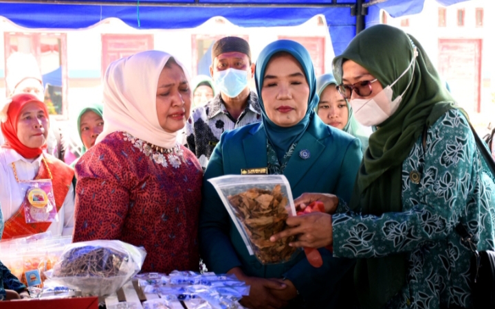 Nawal Lubis Minta PKK Perluas Jaringan Kemitraan untuk Perlancar Kegiatan
