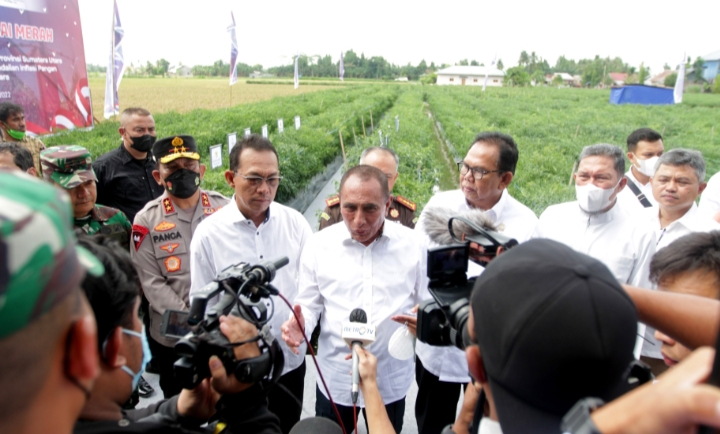 Harga Cabai Mulai Turun Jadi Rp45.000/Kg Pemprov Sumut Terus Jaga Stabilitas Harga Cabai