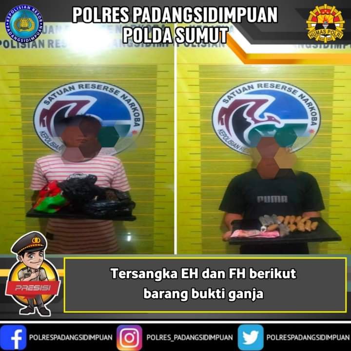 Dua Pengedar Ganja Berhasil Di Tangkap Timsus Polres Sidempuan Di Kelurahan Losung
