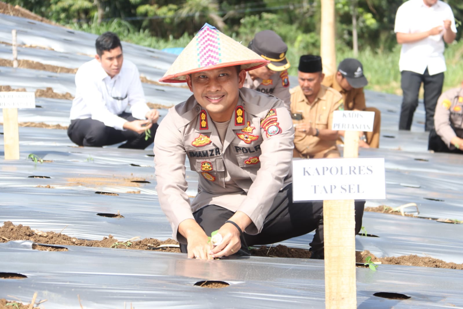 Dukung Ketahanan Pangan, Polres Tapsel Tanam Palawija di Lahan Milik Polri