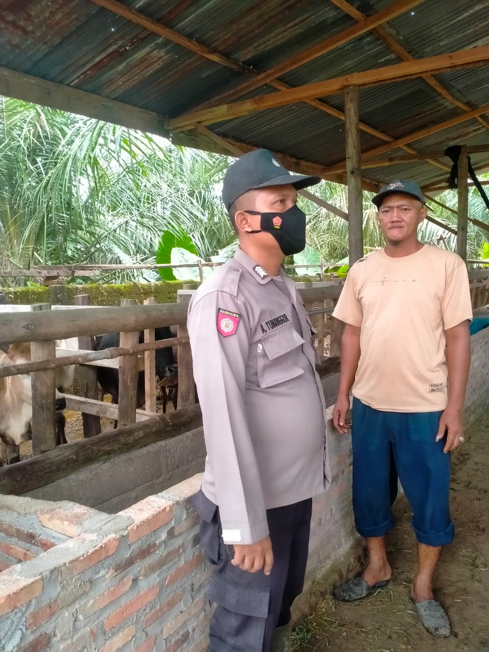 Menjalin Silaturahmi, Polsek Bandar Pulau Pantau Ternak Sapi Warga