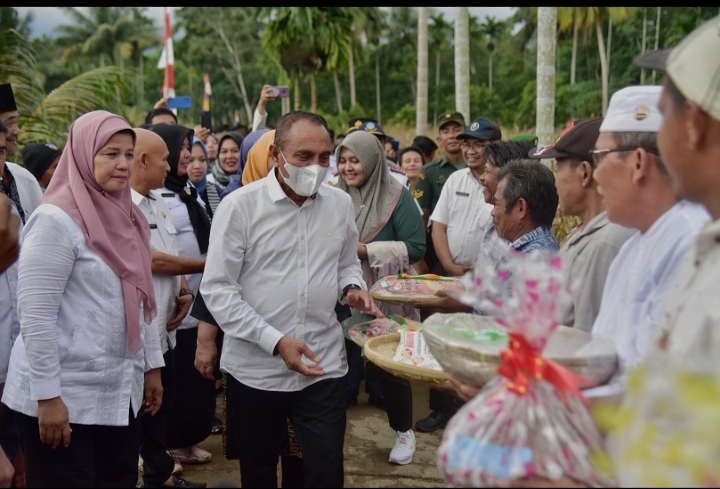 Perkuat Ketahanan Pangan Pemprov Sumut Terus Dorong Petani Kembangkan Tanaman Jagung