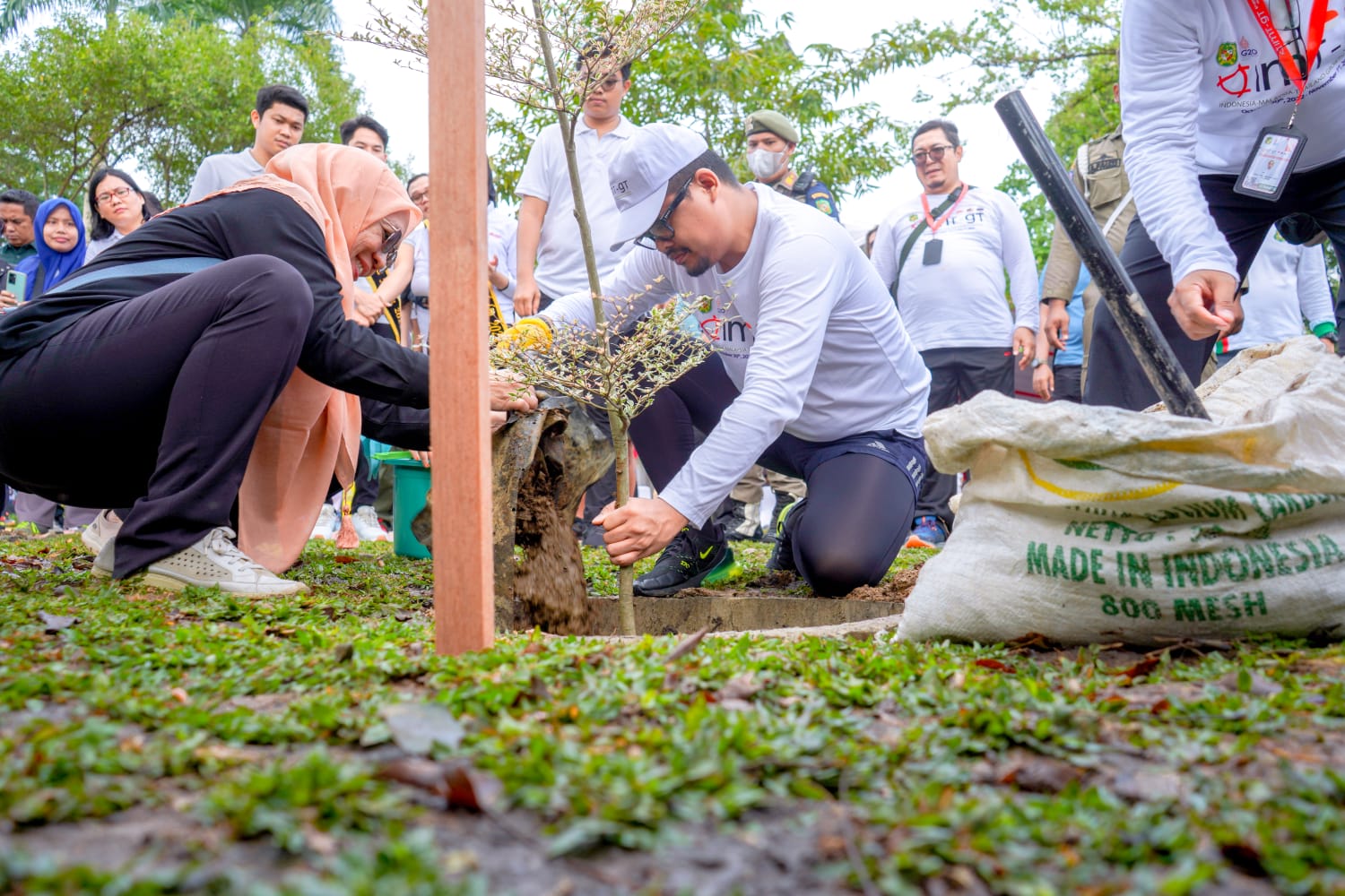 Dukung Kota Hijau, Bobby Nasution & Peserta Pertemuan Ke-5 IMT GT Tanam Pohon Bersama