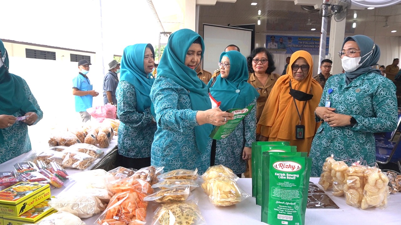 Masuk Nominasi Lomba PKK Sumut,  Tim Evaluasi PKK Provsu Lakukan Penilaian di Tebing Tinggi