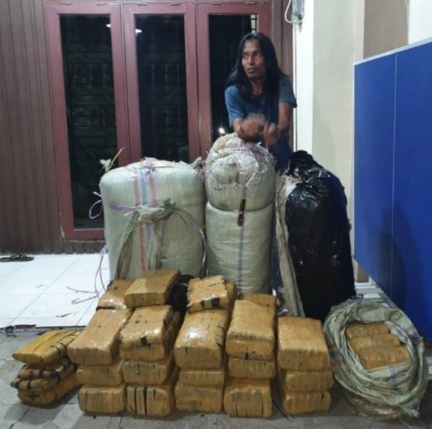 Pria Ngaku Kurir Ganja Diringkus Tim Subdit II Ditresnarkoba Polda Sumut, 200 Kg Barang Bukti Diamankan