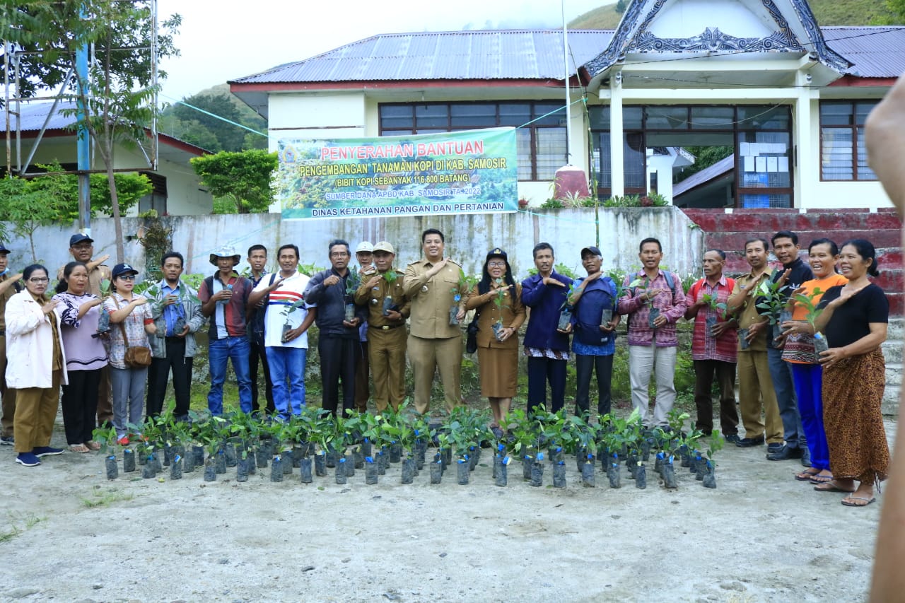 PEDULI PETANI, BUPATI SAMOSIR SALURKAN BANTUAN BIBIT GRATIS