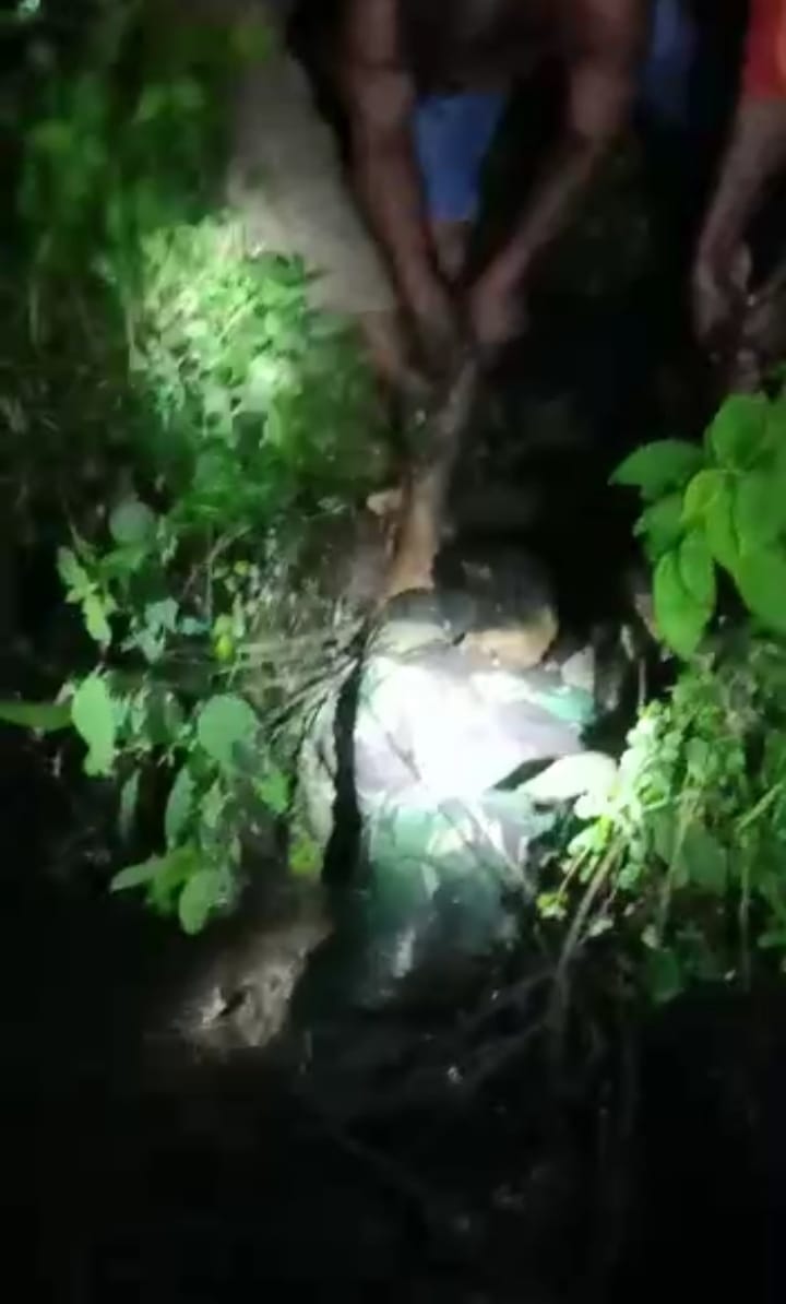 Parit Limbah Sedalam Leher Orang Dewasa Milik PTPN IV Kebun Pulu Raja Makan Korban Komandan Satpam