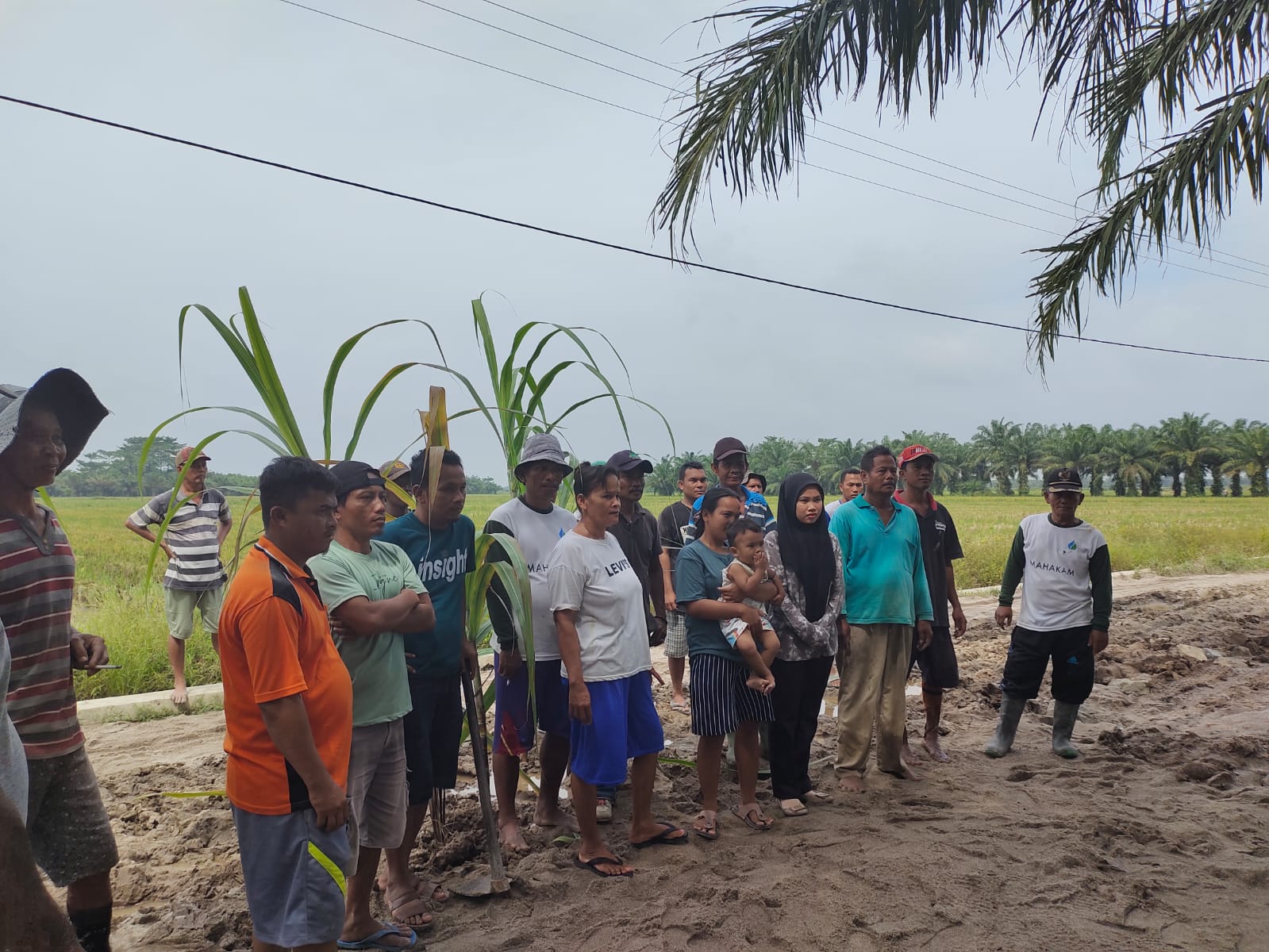 KESAL TAK DI PERHATIKAN PEMERINTAH, WARGA DI TIGA DUSUN 7,8 DAN 9,DESA PANCA ARGA, GOTROY TIMBUN JALAN BERLUBANG