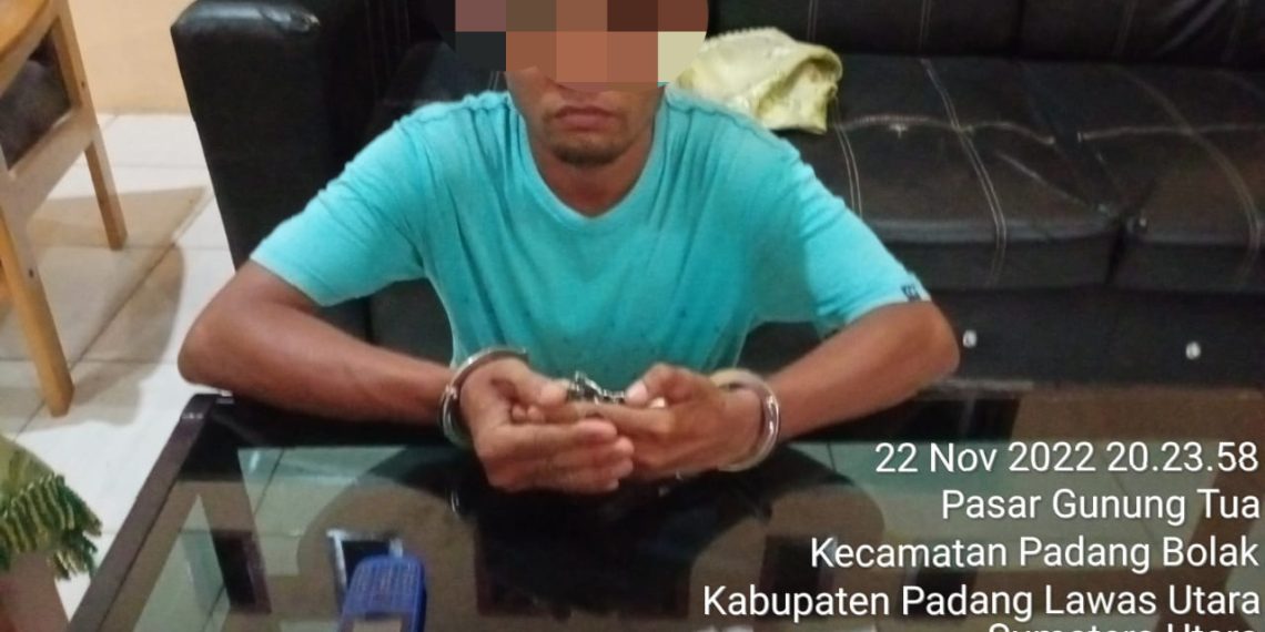 Sedang Santai, Terduga Pengedar Sabu Terciduk, Polsek Padang Bolak Bertindak