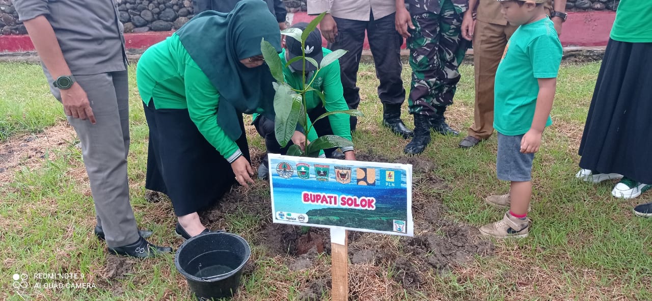 Badan Pengelola Kawasan Danu Singkarak Berbasis Nagari Bersama PLN UPDK Buktitinggi dan Pemkab Solok Canangkan Gerakan Menanam Pohon