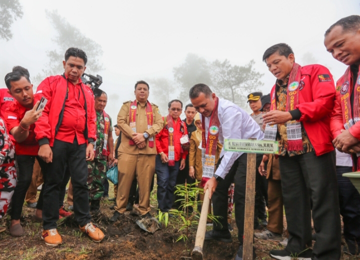 Bersama PBB, Musa Rajekshah  Tanam 10 Ribu Pohon di Togaraja, Samosir Akan Miliki Tempat Wisata Buah
