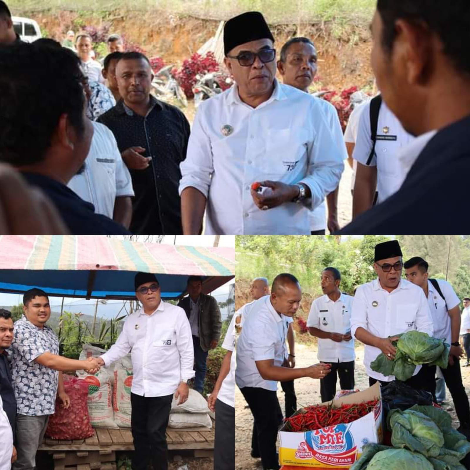 Bupati Madina Serahkan Bantuan Pupuk ke Petani di Puncak Sorik Marapi