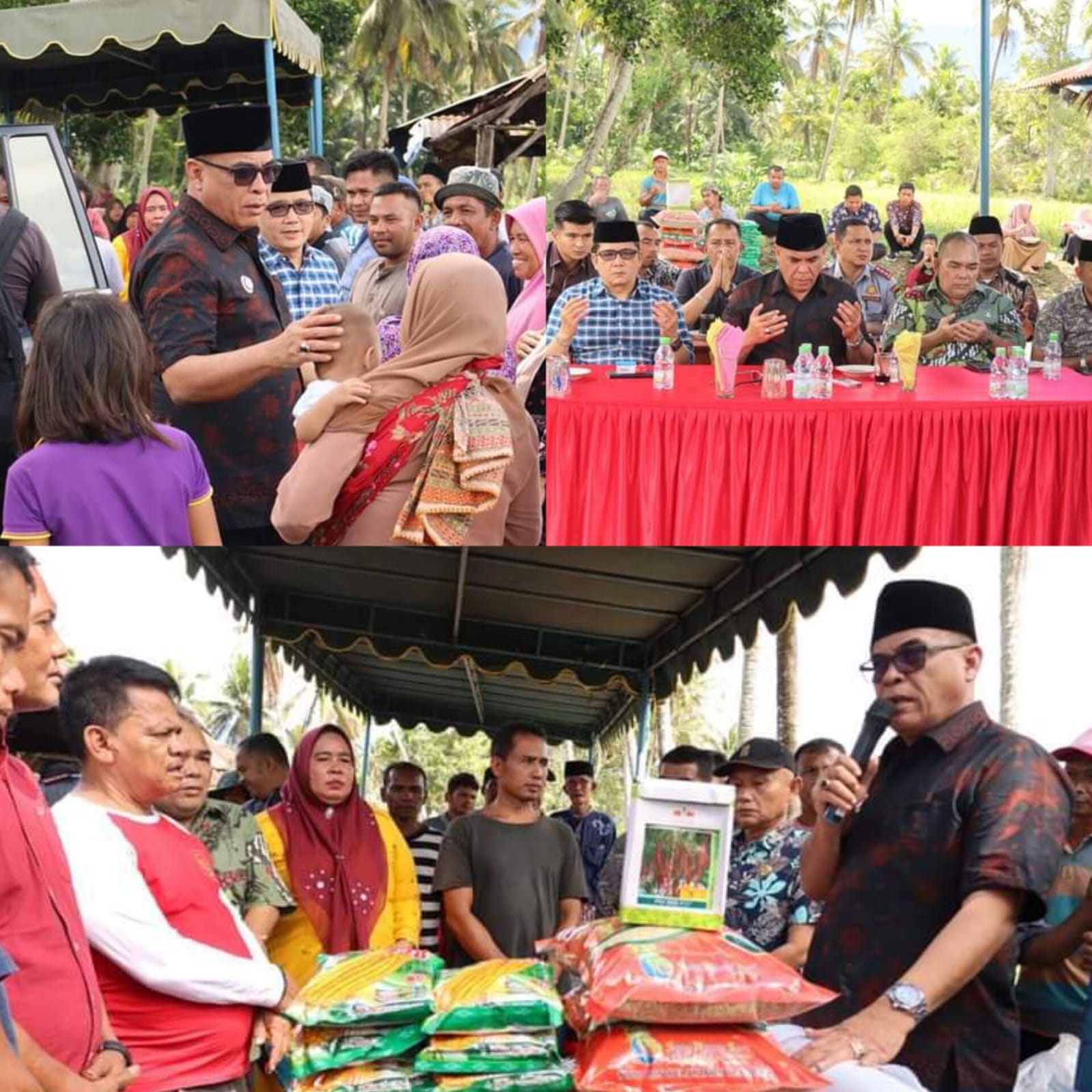 Di Dampingi Ketua DPRD,Bupati Madina Serahkan Bantuan Bibit ke Dua Poktan Desa Manyabar Jae